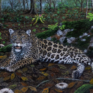 The Jaguar