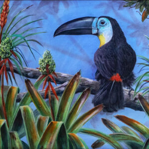 The Toucan